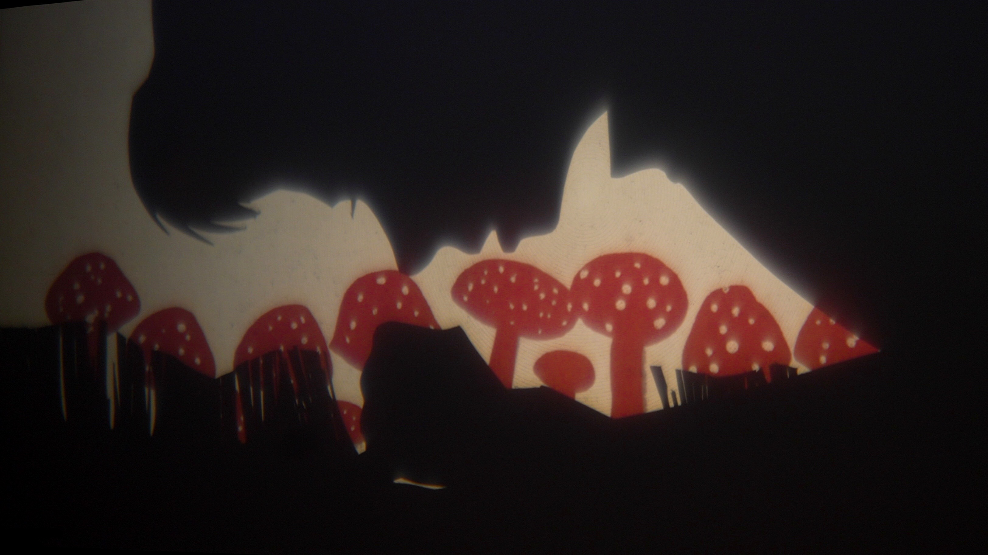 Manual Cinemas The 4th Witch photo by Katie Doyle 4