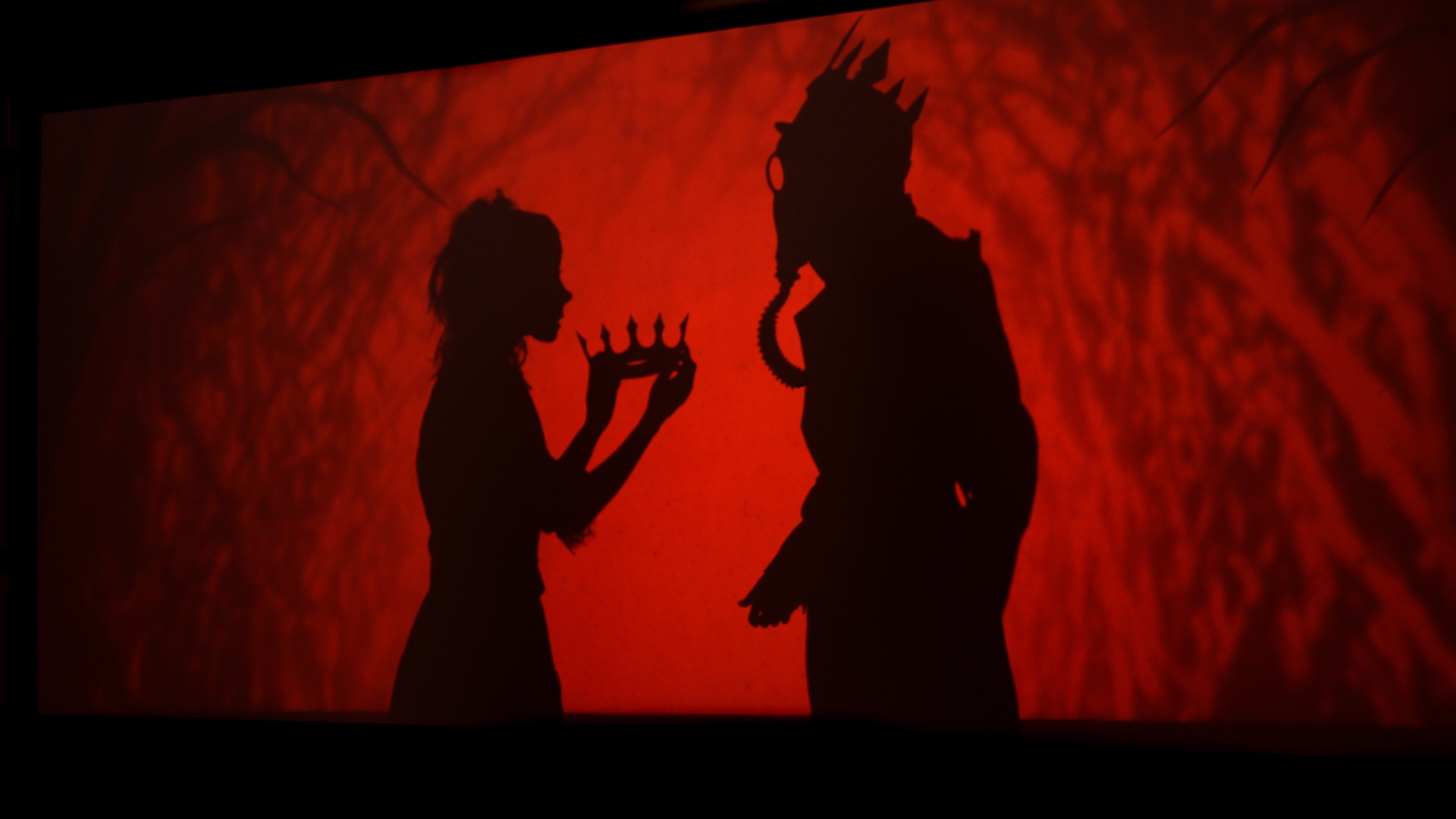 Manual Cinemas The 4th Witch photo by Katie Doyle 5